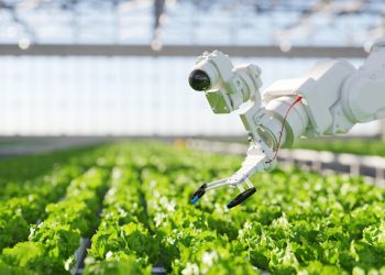 How Agriculture Can Leverage Artificial Intelligence to Increase Yields and Achieve Sustainable Development