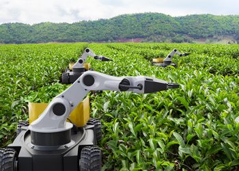 AI in Agriculture: Advancements in Precision Farming