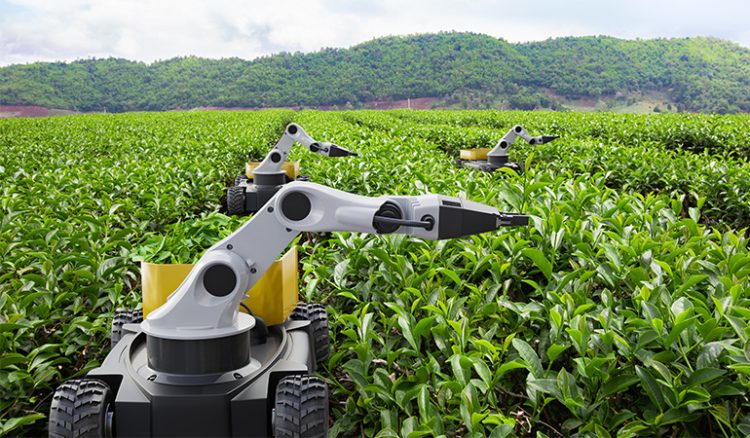 AI in Agriculture: Advancements in Precision Farming