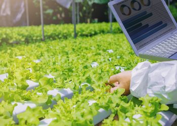 How Artificial Intelligence is Improving Yield and Reducing Resource Waste in Agriculture