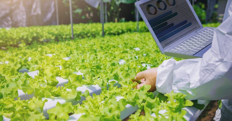 How Artificial Intelligence is Improving Yield and Reducing Resource Waste in Agriculture