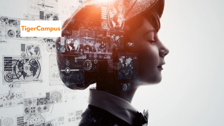 Which Free AI Tools Can Meet the Needs of Small and Medium-Sized Enterprises and Provide Effective Support?