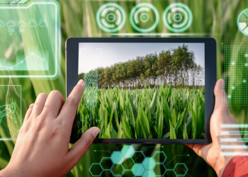 Exploring Real-World Cases: How AI Is Transforming the Future of Agriculture and Environmental Protection