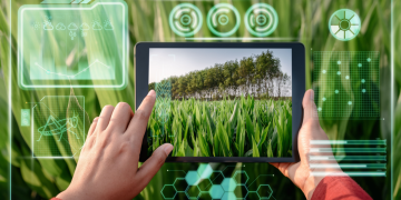 Exploring Real-World Cases: How AI Is Transforming the Future of Agriculture and Environmental Protection
