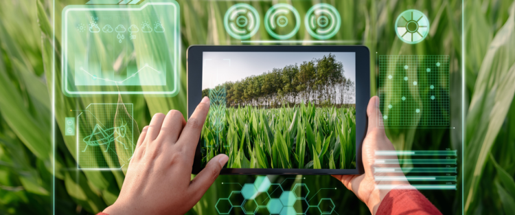 Exploring Real-World Cases: How AI Is Transforming the Future of Agriculture and Environmental Protection