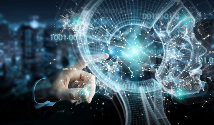 Investment Bubbles and Risk Management: Diverging Perspectives